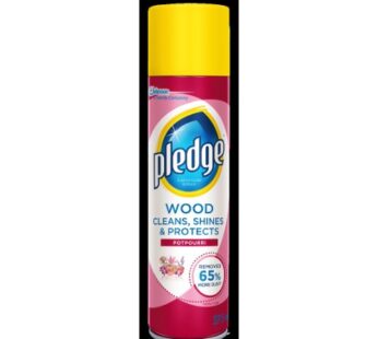 Pledge Furniture Polish (All Types) 300ml