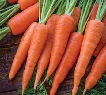 Carrots 1kg Pack