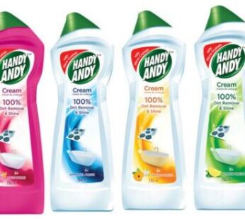 Handy Andy 750ml (Any/All Variants)