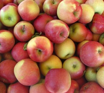 Local Apples 1.5kg Econo Pack