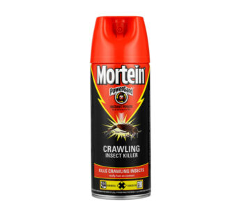 Mortein Insect Spray 180ml