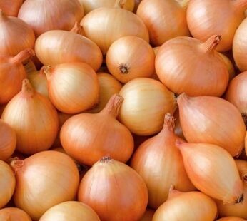 Onions 2kg Pack