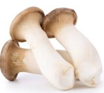 OYSTER MUSHROOM 200G