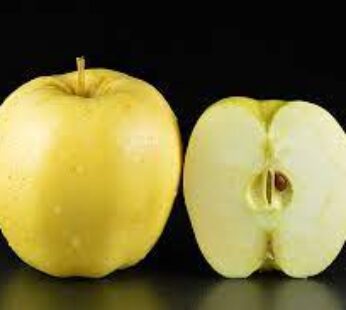 APPLES G.D  1.5KG