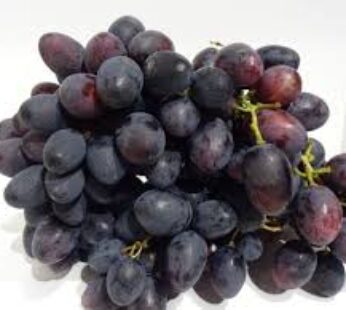 GRAPES 500G PNT RED