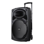 TOP NOTCH SPEAKER A12 220W